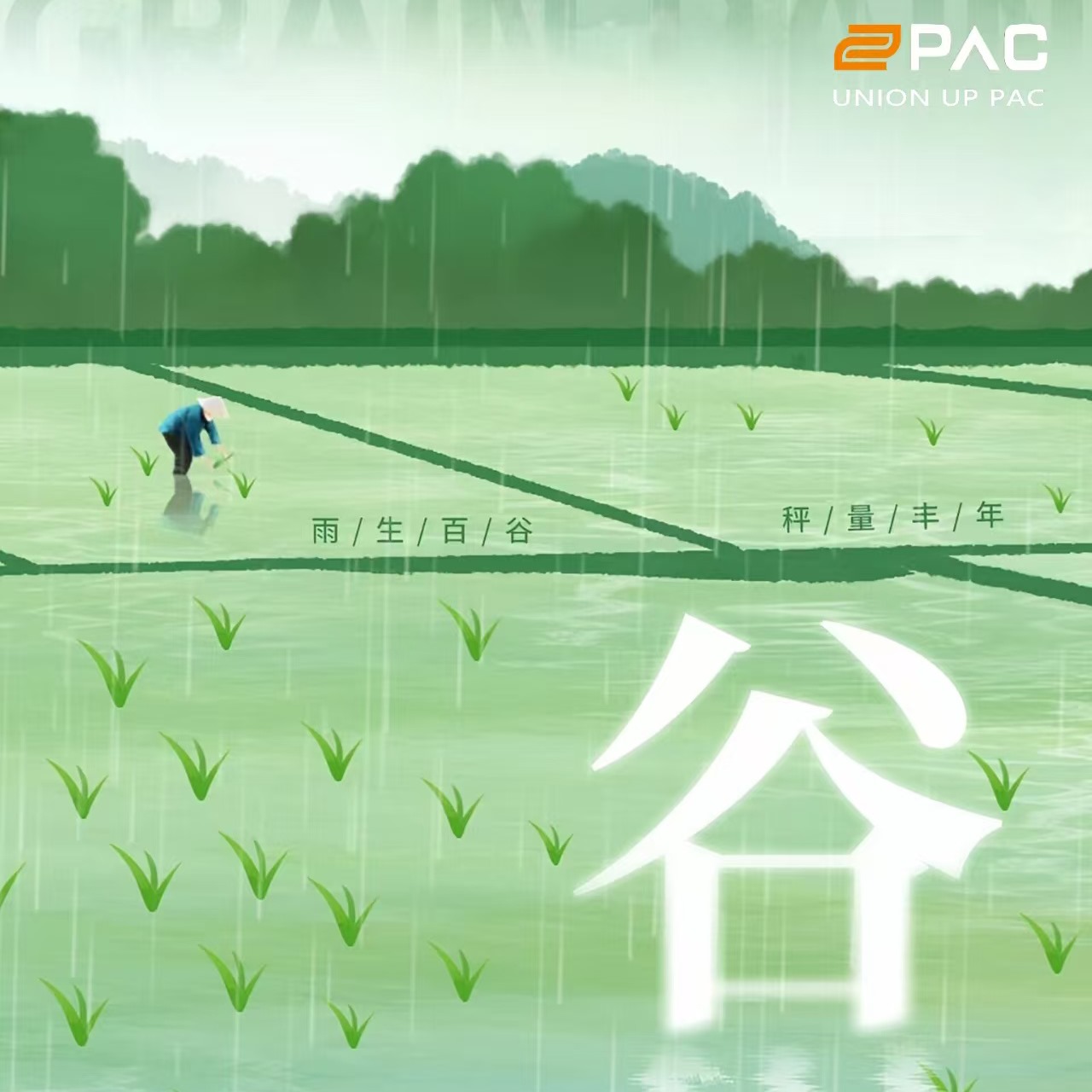 Grain Rain: Uma Temporada de Crescimento, Precisão e Parceria